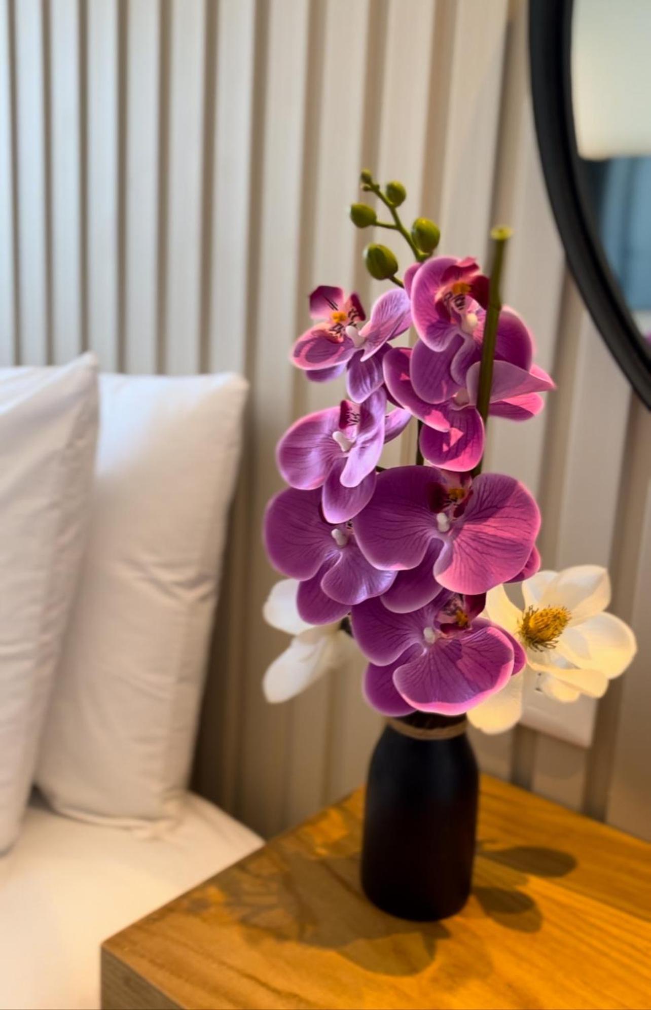 Coralia Boutique 4* Cozumel